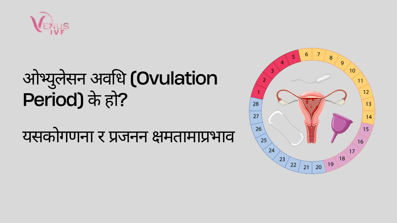 ओभ्युलेसन अवधि (Ovulation Period)